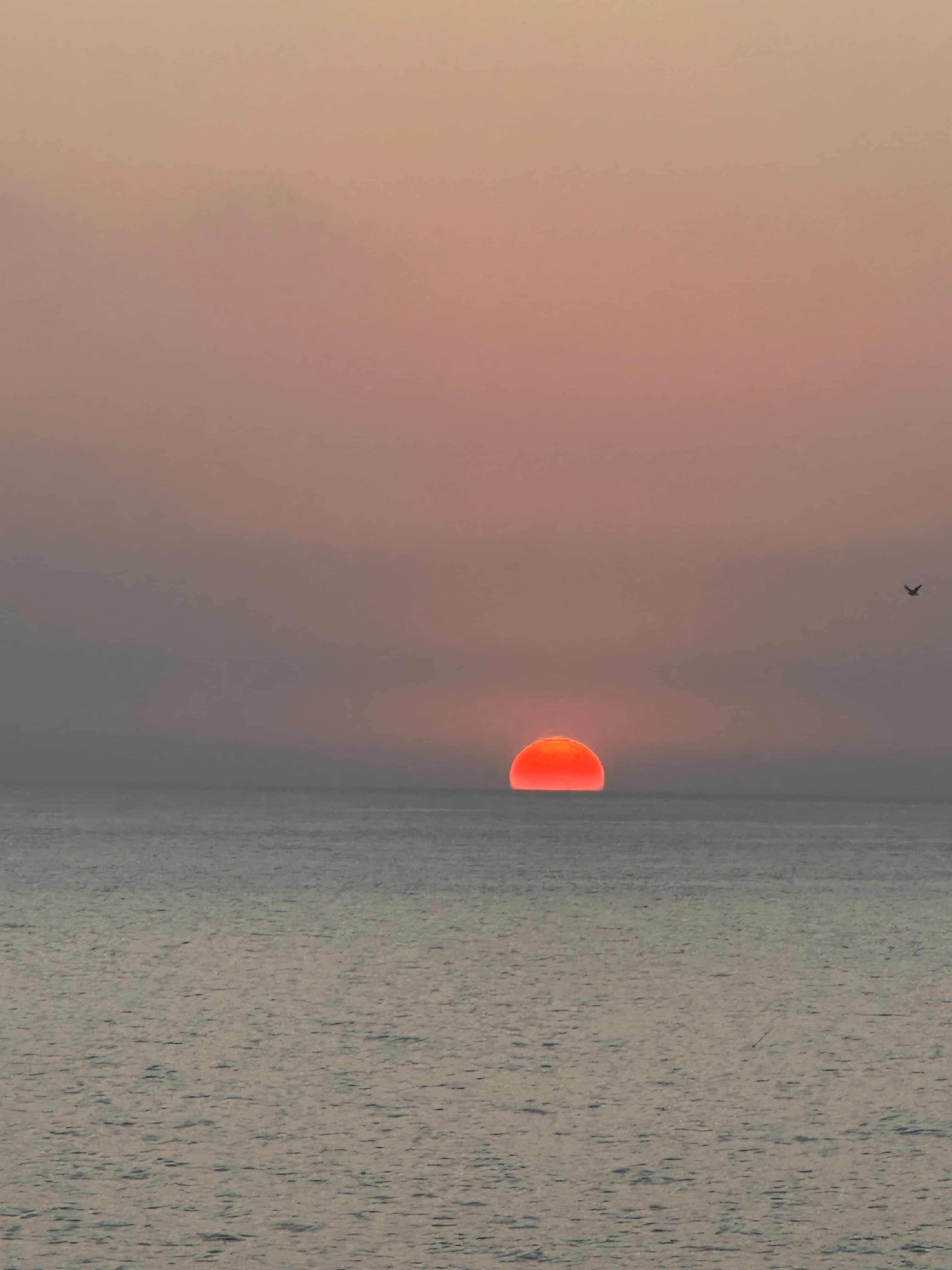 Photo 10 du portfolio - Moments de vie du développeur web Maxime Farineau à Biarritz, passionné de surf et création de sites web